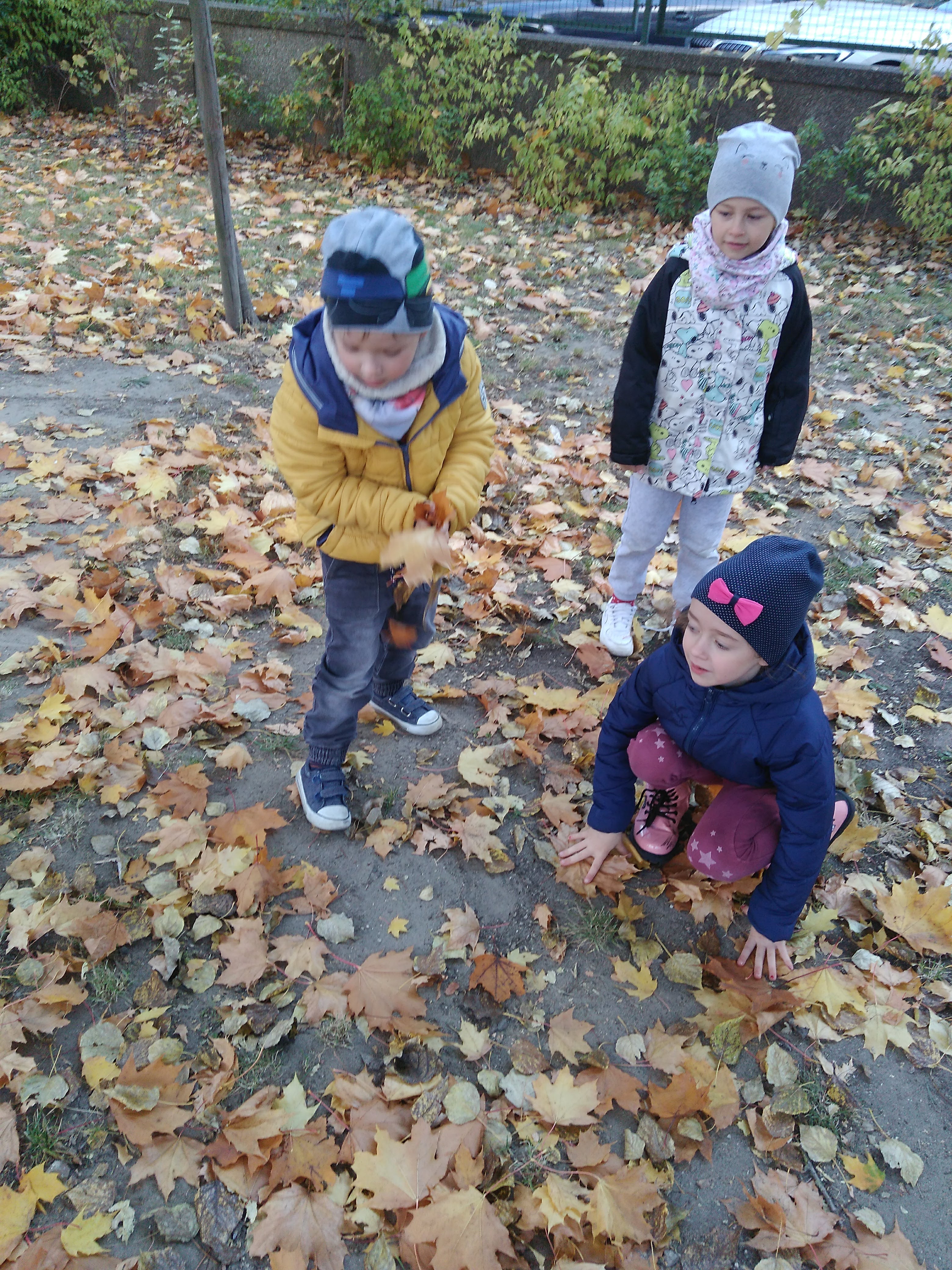 IMG 20211013 111355