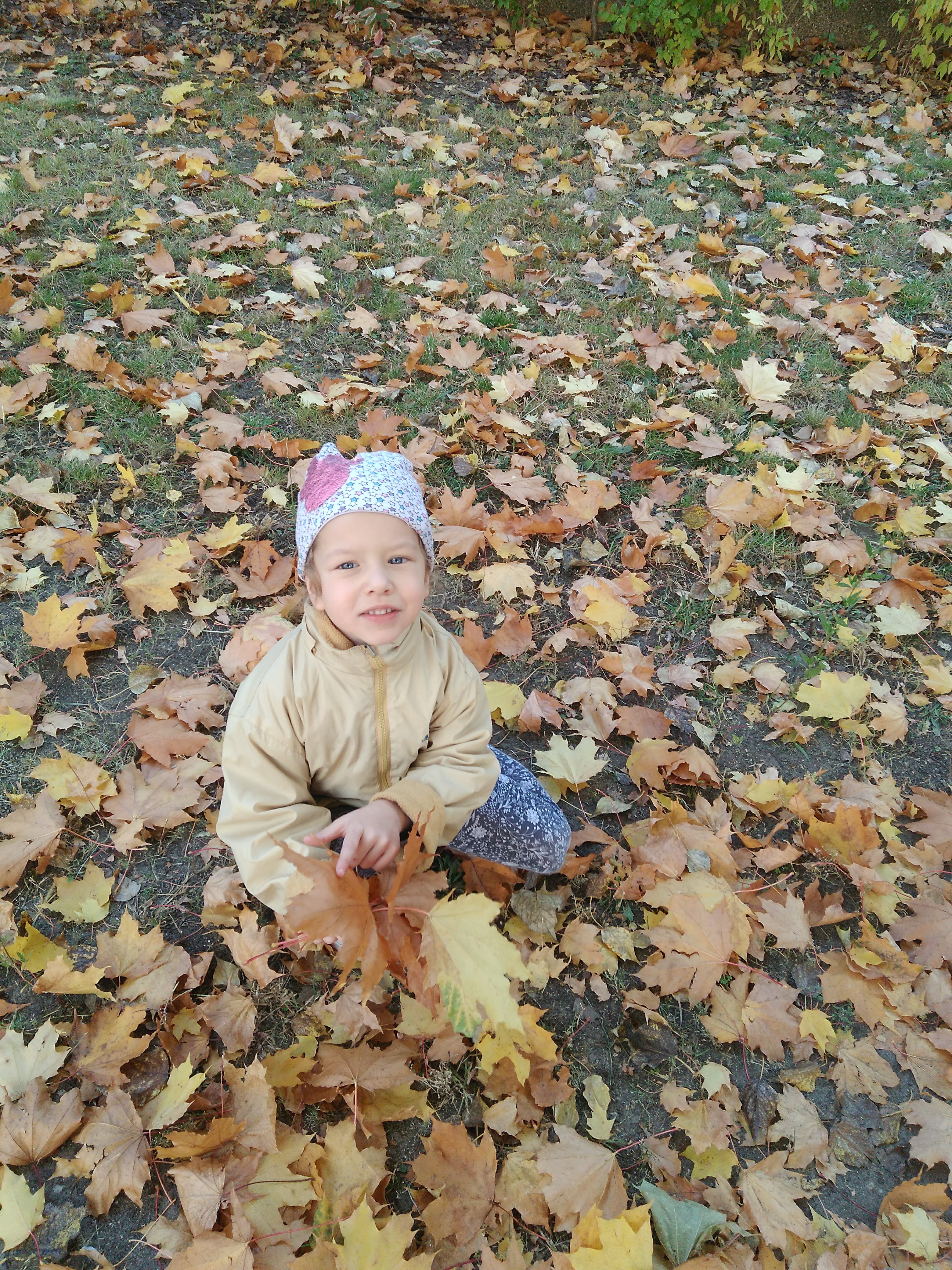 IMG 20211013 111426