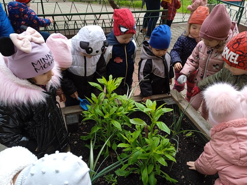 IMG 20240422 113151 1